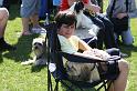 Bild 777